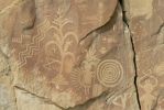 PICTURES/Crow Canyon Petroglyphs - Main Panel/t_Village Scene - Corn & Circles1.JPG